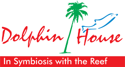Logo Dolphin-House
