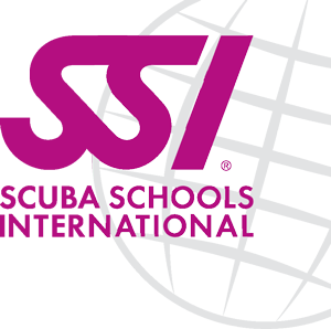 Logo SSI